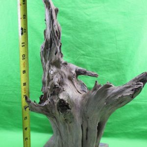 Natural Driftwood