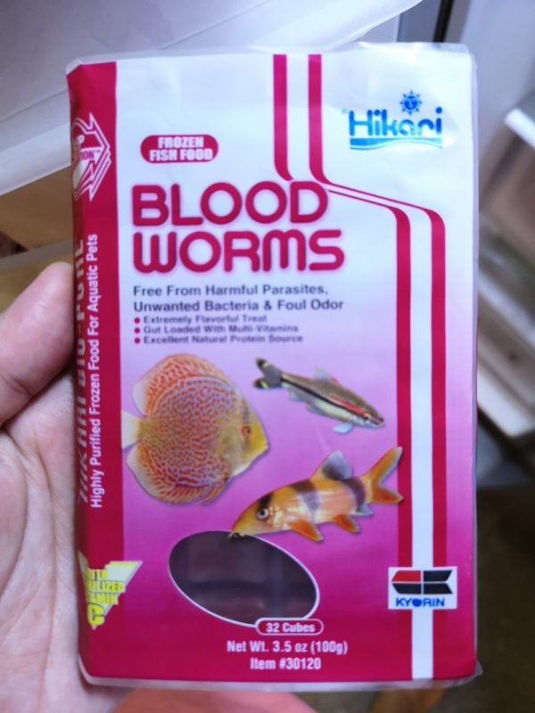 download frozen blood worms for fish